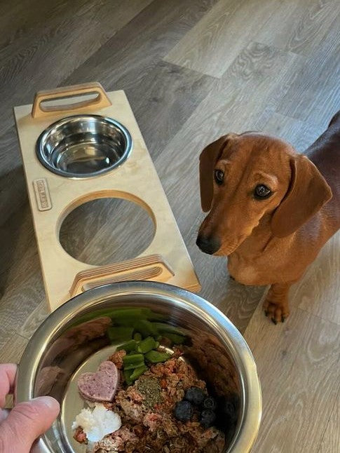 Double Dog Bowl Stand
